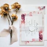 "1" x 11" Pre-Folded Vellum Bellyband for 5"x7" Invitations, Set of 10" - Belly Bands in white by MC silverlinings