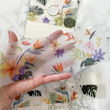 "Tropical Vellum Belly Band for Wedding Invitations 3" (25 Pack)" - Belly Bands in clear by Carley Zuercher
