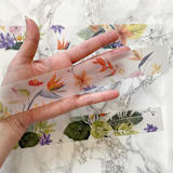 "Tropical Vellum Belly Band for Wedding Invitations 1.5" (25 pack)" - Belly Bands in clear by Carley Zuercher