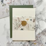 "Neutrals Wildflower Vellum Belly Band 3" (25 Pack)" - Belly Bands in clear by Carley Zuercher