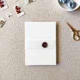 "Blank Vellum Belly Band | For Petite 4.25x6" Invitations | Set of 10" - Belly Bands in clear by Cotton and Bow