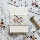 "Neutral Fall Wildflower Vellum Belly Bands (25 Pack)" - Belly Bands in clear by Carley Zuercher