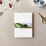 "Vineyard Watercolor Vellum Belly Band | For 5x7" Invitations | Set of 10" - Belly Bands in multicolor by Cotton and Bow