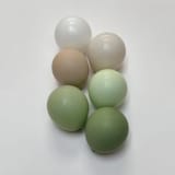 "Sage Balloon Garland Premium Kit (8-10ft)" - Balloons in green by PopFestCo