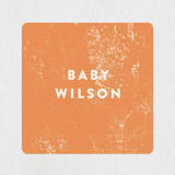 "WILD ONE" - Baby Shower Stickers in Circus by Pixel and Hank - Close-Up