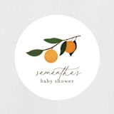 "Little Cutie" - Baby Shower Stickers in Clementine by Stacey Meacham - Close-Up