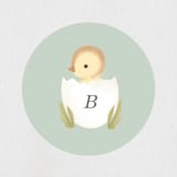 "Lil Duck" - Baby Shower Stickers in Sage by Itsy Belle Studio - Close-Up