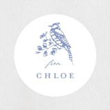 "Dreamy Toile" - Baby Shower Stickers in Blueberry by Teju Reval - Close-Up