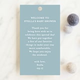 "Polished" - Baby Shower Favor Tags in Powder Blue by Jennifer Postorino - Front