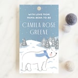 "Winter Bears" - Baby Shower Favor Tags in Sparkle by Jennifer Lew - Front