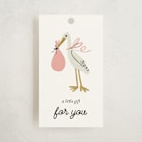 "Little Stork" - Baby Shower Favor Tags in Blush by Ani Somi - Front