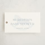 "Classic Gingham" - Baby Shower Favor Tags in Sky by Melinda Denison - Front