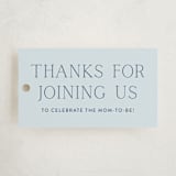 "boy oh boy!" - Baby Shower Favor Tags in Azure by Annie Shapiro - Front