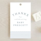 "A cute stripe" - Baby Shower Favor Tags in Sky by Lea Delaveris - Front