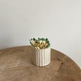 "Decorative Match Holder - Ribbed" - Candle Holders in white by Sidney Field