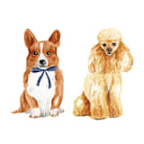 "Custom Dog Icon" - Commissioned Design Element in multicolorassorted-colors by Sarah Knight