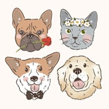 "Custom Pet Icon, Face Portrait Illustration" - Commissioned Design Element in multicolor by Sam Dubeau
