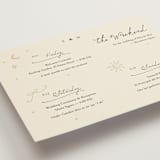 "Written in the Stars" - Wedding Weekend Itinerary Cards in Noir by Ani Somi - Detail