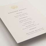 "Simple Seashell" - Wedding Weekend Itinerary Cards in Sand by Hannah Bowman - Detail