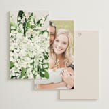 "Soft Sprigs" - Wedding Favor Tags in Champagne by Jennifer Postorino - Back of Card Options