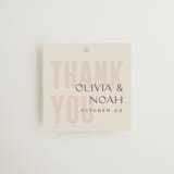"Salted" - Wedding Favor Tags in Blush by Pixel and Hank - Front