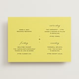 "In Lights" - Wedding Weekend Itinerary Cards in Lemon by Ani Somi - Front