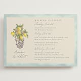 "Amalfi Coast Wedding" - Wedding Weekend Itinerary Cards in Aqua by Chris Griffith - Front