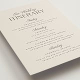 "Galleria" - Wedding Weekend Itinerary Cards in Onyx by Laura Hankins - Detail
