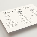 "Chic Union" - Wedding Weekend Itinerary Cards in Mystic Raven by Cass Loh - Detail