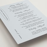 "plans" - Wedding Weekend Itinerary Cards in Dusty Blue by Inkblot Design - Detail