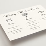 "Chic Union" - Wedding Weekend Itinerary Cards in Mystic Raven by Cass Loh - Detail