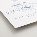 "Aristocratic" - Welcome Signs in Sky by Creo Study - Detail