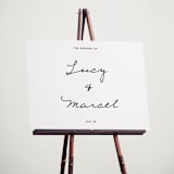 "Ballpoint" - Welcome Signs in Paper by Ani Somi - In Use