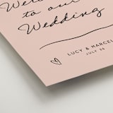 "Ballpoint Suite" - Welcome Signs in Blush by Ani Somi - Detail