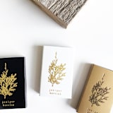 "Juniper Berries Matchbox, Gold on White" - Matchbooks and Matches in white by Jessica Cunningham