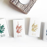 "Juniper Berries Matchbox, Gold on White" - Matchbooks and Matches in white by Jessica Cunningham