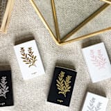 "Sage Matchbox, Gold on White" - Matchbooks and Matches in white by Jessica Cunningham