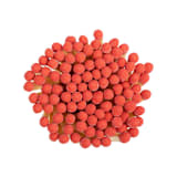 "Red Matchsticks in Small Corked Vial" - Matchbooks and Matches in multicolorassorted-colors by Summer Hedglin