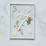 "Silver-Lined Pressed Flower Table Number, White" - Table Numbers in silver by Jasmine Jhunjhnuwala