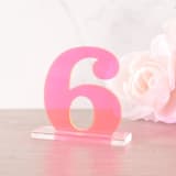 "Clarendon Table Numbers, Fluorescent Pink" - Table Numbers in pink by Em and Me Studio