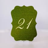 "Script Scroll Table Number - Avocado" - Table Numbers in green by Velvet Raptor