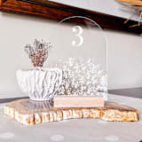 "Acrylic Flower Shrub Leaves Wedding Table Number with Natural Wood Stand, Set of 1" - Table Numbers in white by Iveta Abolina