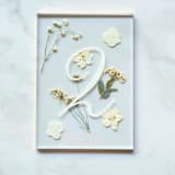 "Gold-Lined Pressed Flower Table Number, White" - Table Numbers in gold by Jasmine Jhunjhnuwala