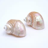 "Seashell Napkin Rings, Set of 4" - Napkin Rings in white by Inner Child