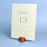 "Copper Color Pumpkin Table Number Holder, Set of 5" - Place Card Holders in copper by Corduroy Effect