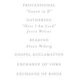 "On the Slopes" - Wedding Programs in Fog by Mere Paper - Detail
