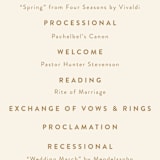 "Painted Ferns" - Wedding Programs in Cream by Amy Kross - Detail