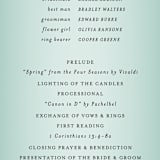 "Big City - Chicago" - Wedding Programs in Pale Blue by Hooray Creative - Detail