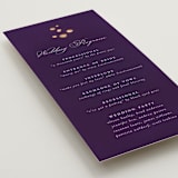 "Disney's Tangled Lanterns" - Wedding Programs in Twilight by Simona Camp - Detail