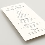 "Terra" - Wedding Programs in Snow by Pixel and Hank - Detail